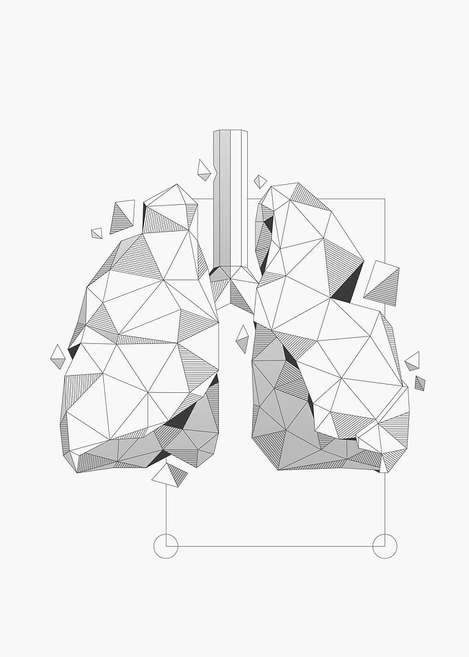 Lungs Grey