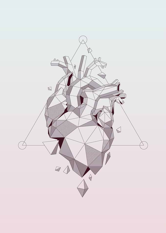 Heart