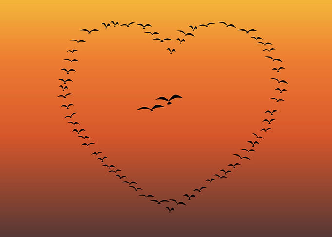 Flock Of Birds Heart