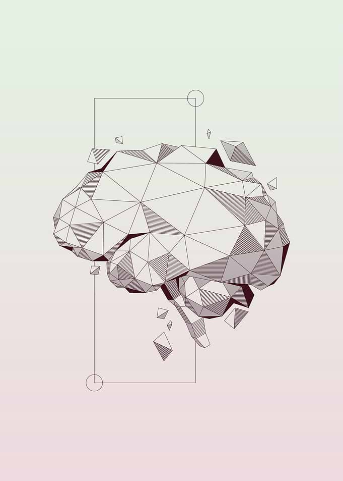 Brain