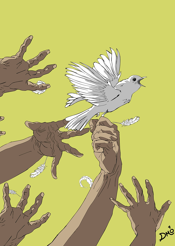 Freedom