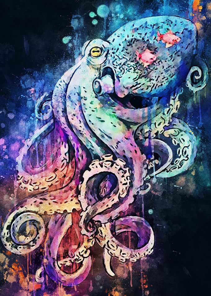 Octopus Kraken