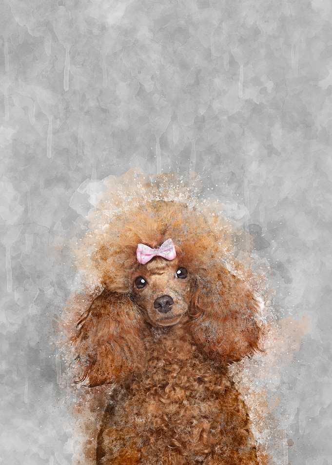 Poodle Lady