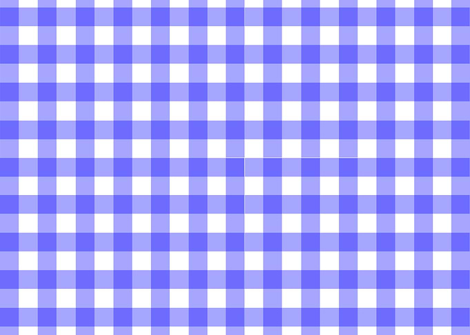 Blue Gingham Material