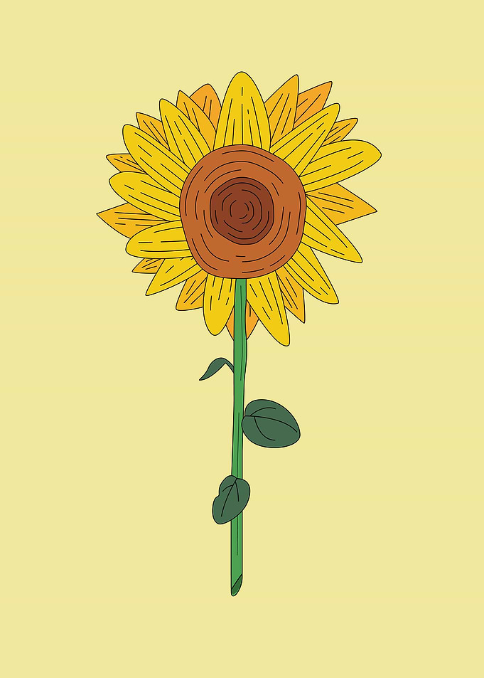Sunflower in Vector Style