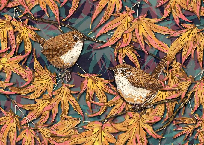 Garden Wrens