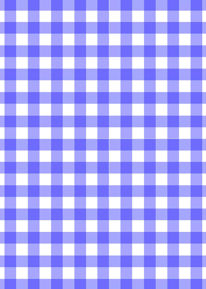 Blue Gingham Material