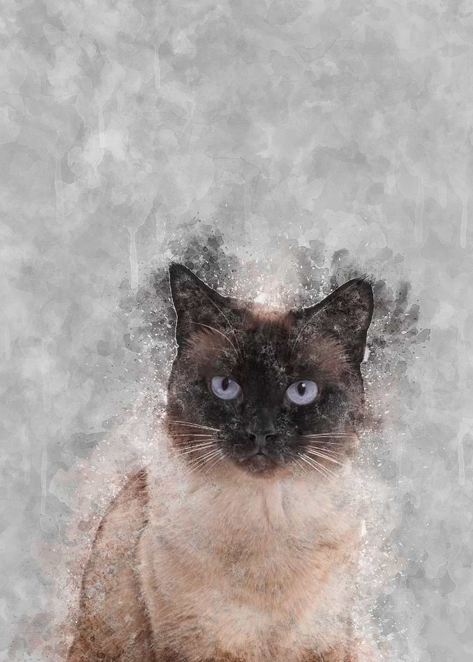 Tonkinese