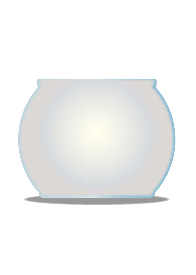 Empty Goldfish Bowl