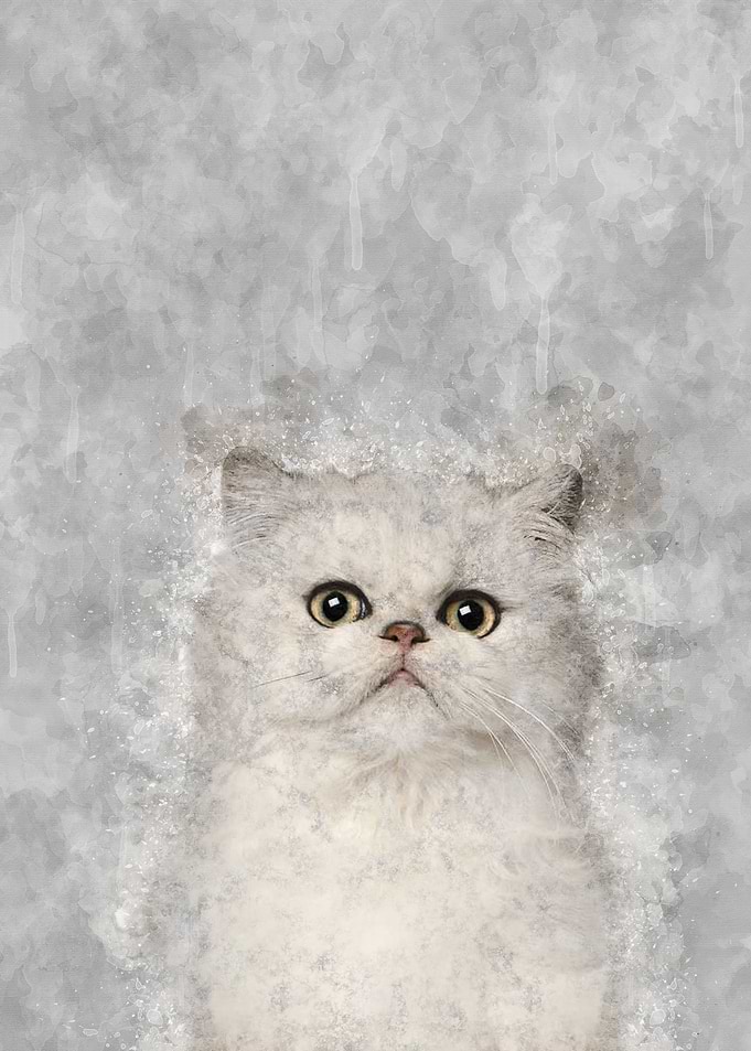 Persian