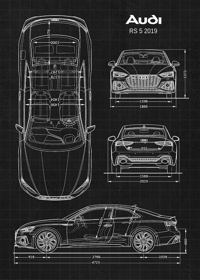 AUDI RS5 2019