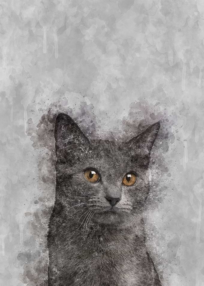 Chartreux