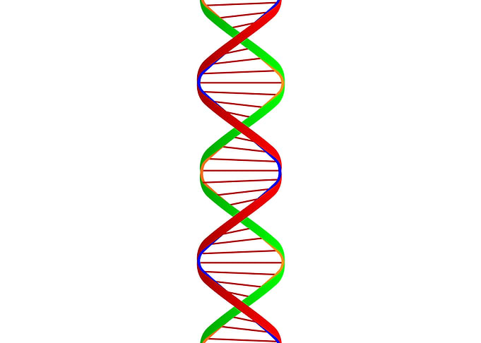DNA Twin Spiral