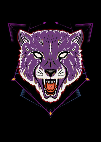 cheetah vector illustratio