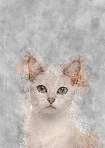 Burmilla