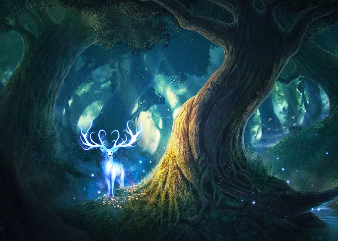 Deer