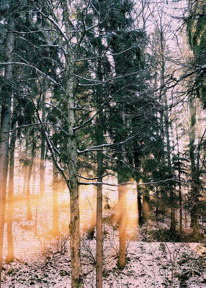 beautiful nature