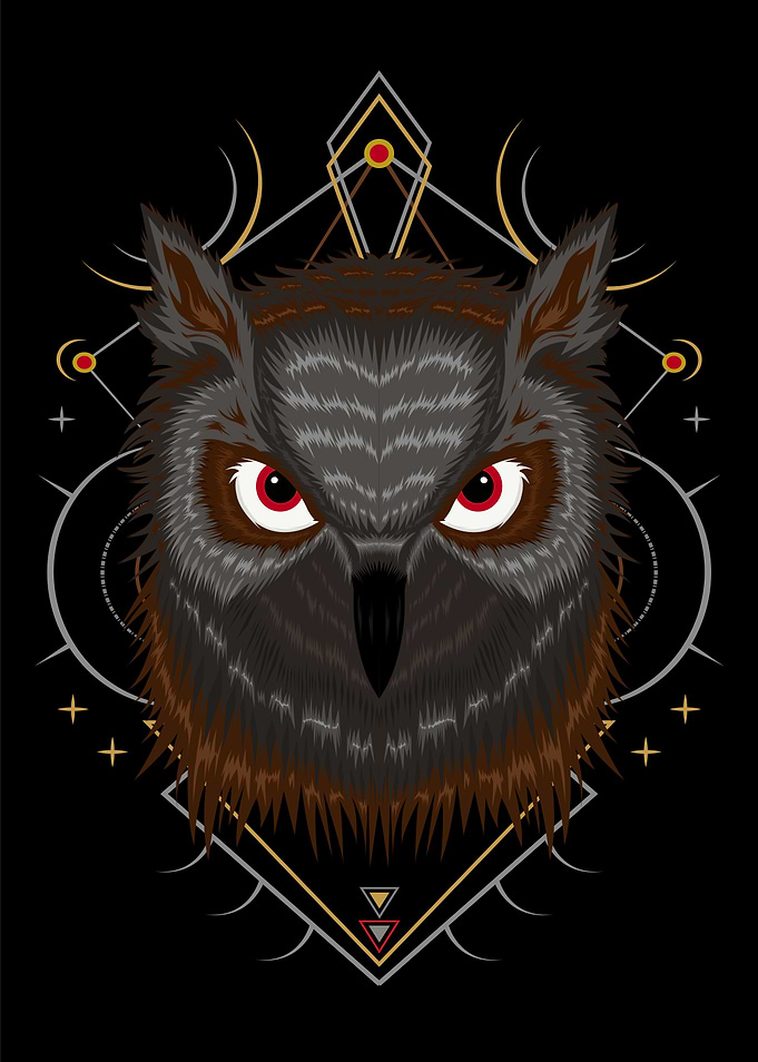 the owl illustration