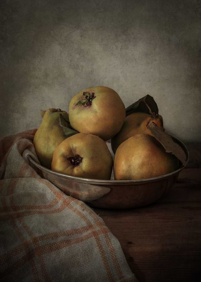 Still life with quinces