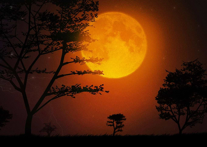 Moon