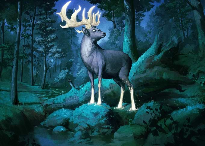 Deer