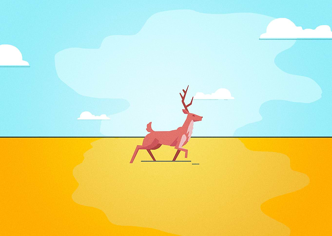 Deer