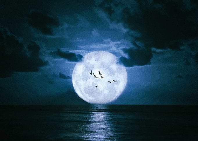 Moon