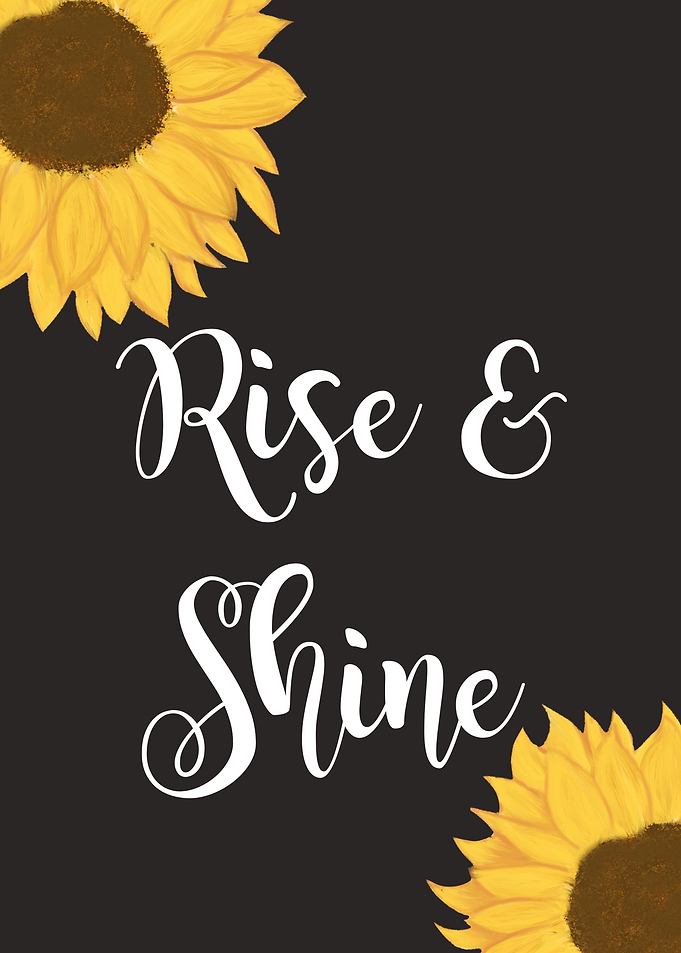 sunflower rise and shine
