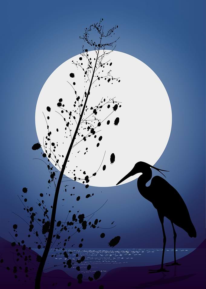Moon
