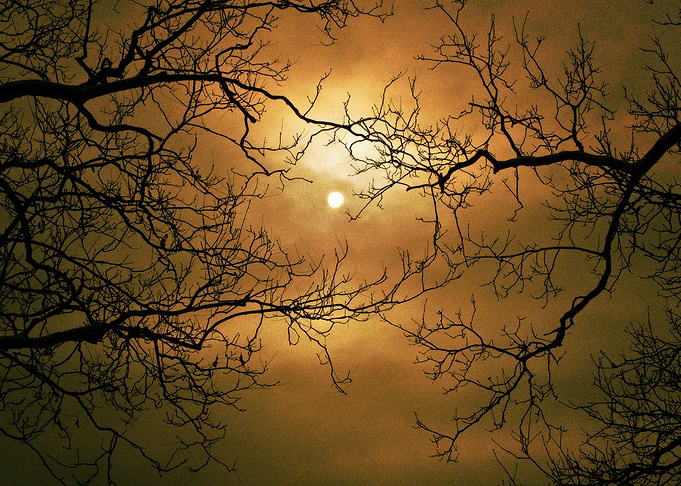 Moon