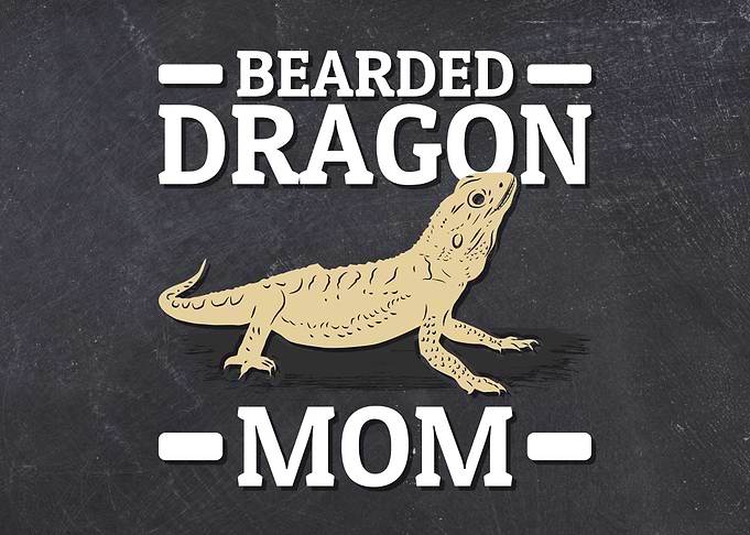 Bearded Dragon Mom