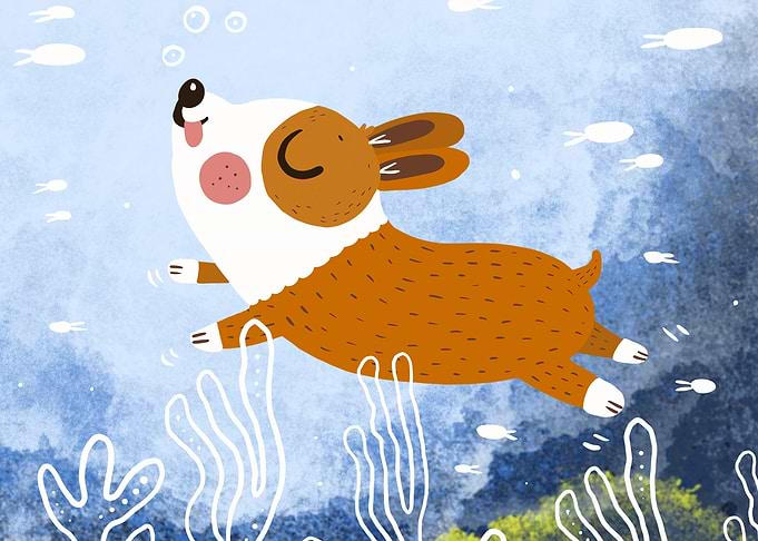 Underwater corgi