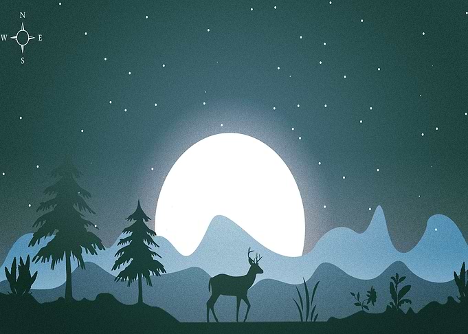 Moon
