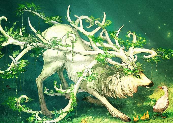 Deer