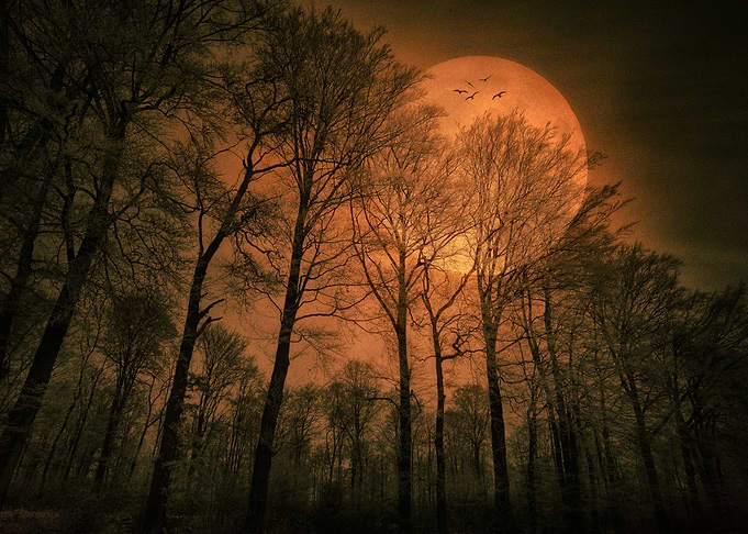 Moon