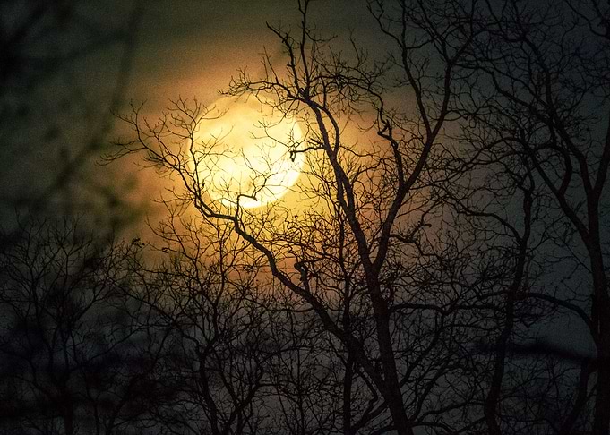 Moon