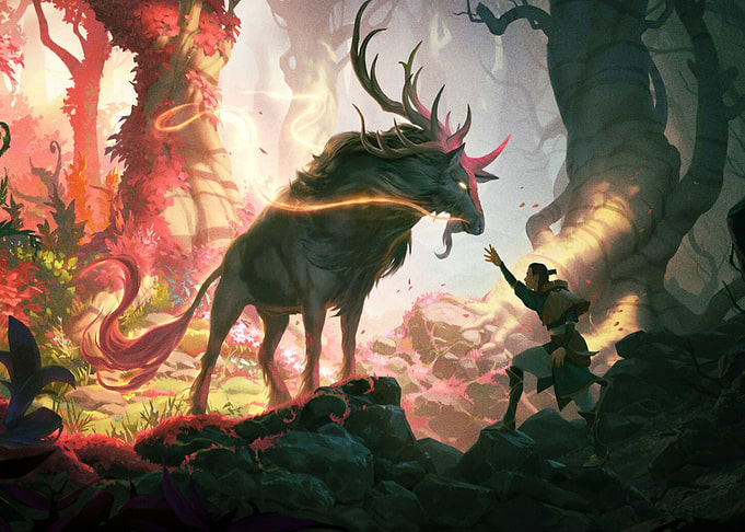 Deer
