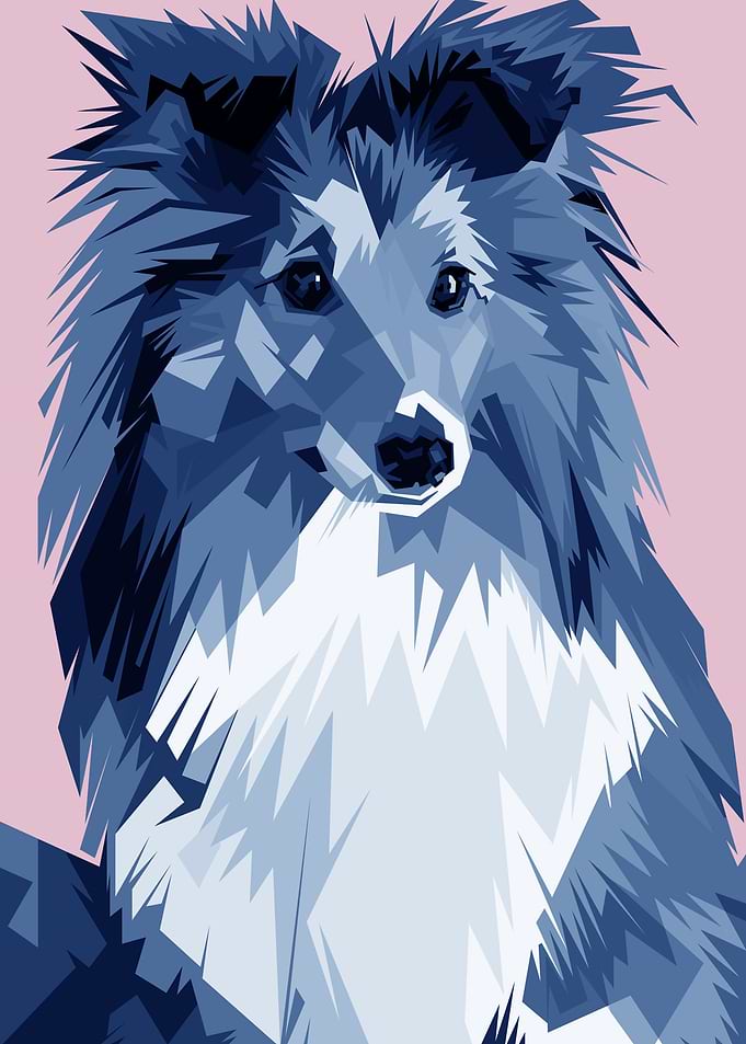 cute dog