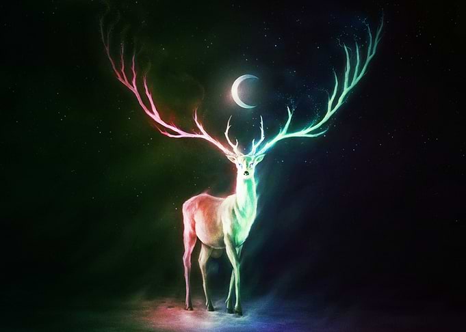 Deer