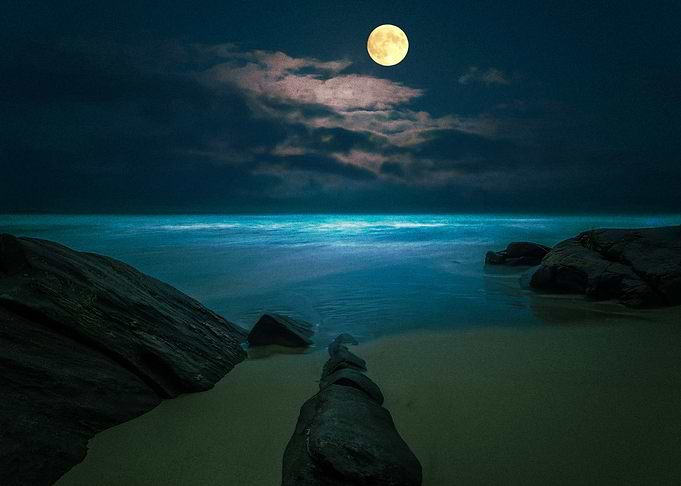 Moon