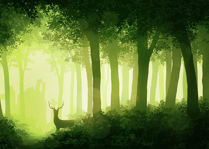 Deer