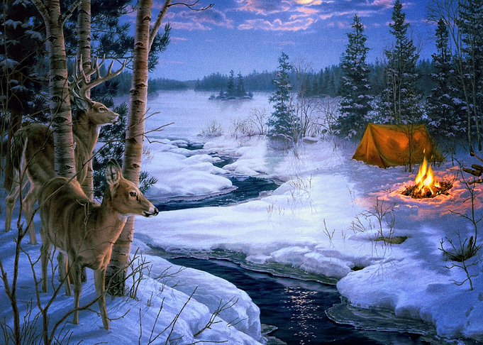 Deer