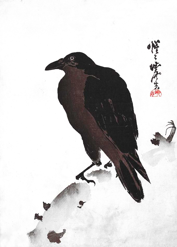 Crow Resting on Wood Trunk