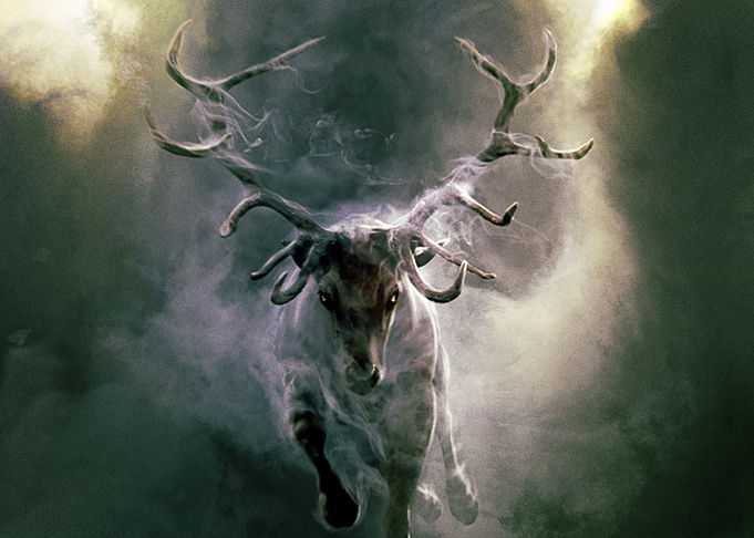 Deer