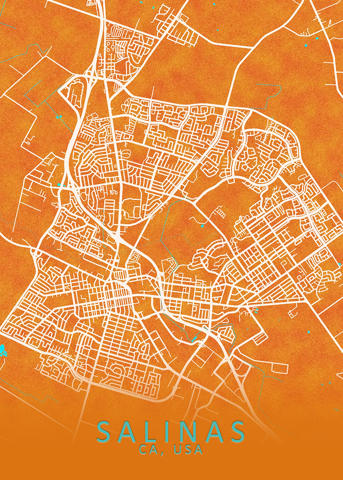 Salinas CA USA City Map