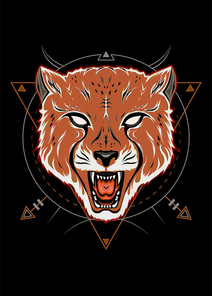 vector cheetah illustratio