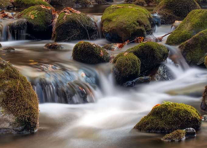 Stony creek