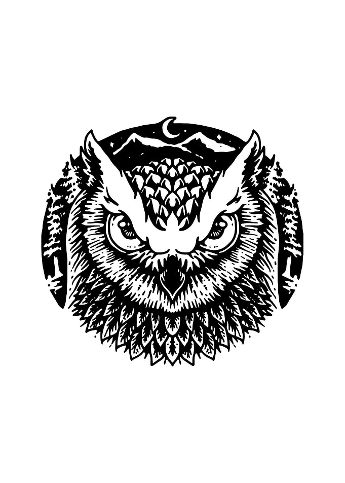 Owly