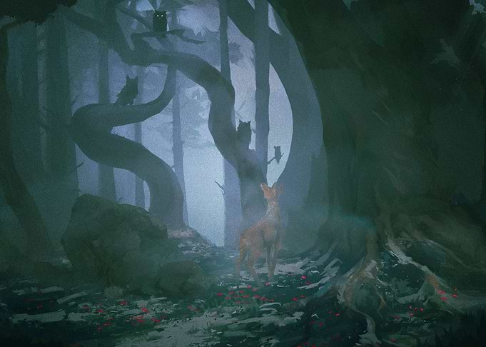 Deer