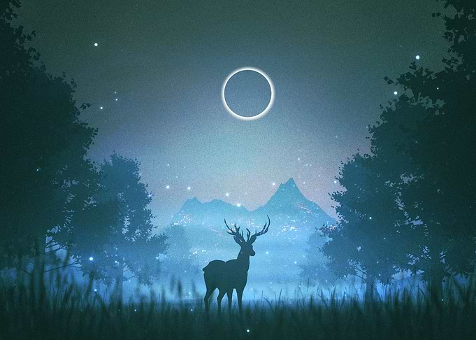Deer